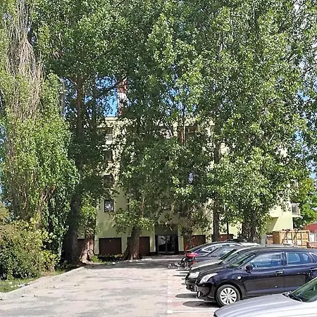 Steyera